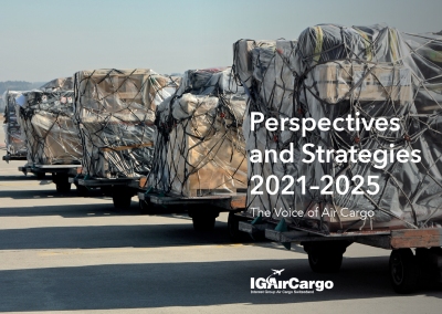 Perspective and Strategies 2021-2025